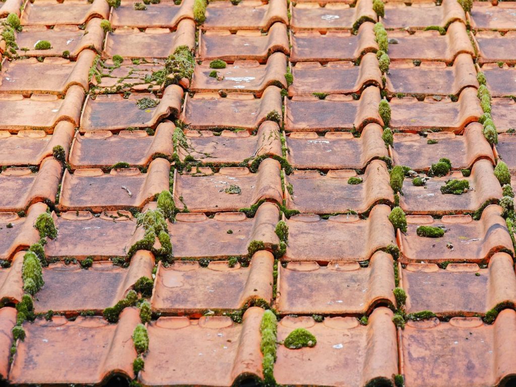 old roof, roof tiles, barn-2703949.jpg